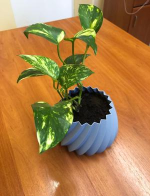 Planter, flower pot