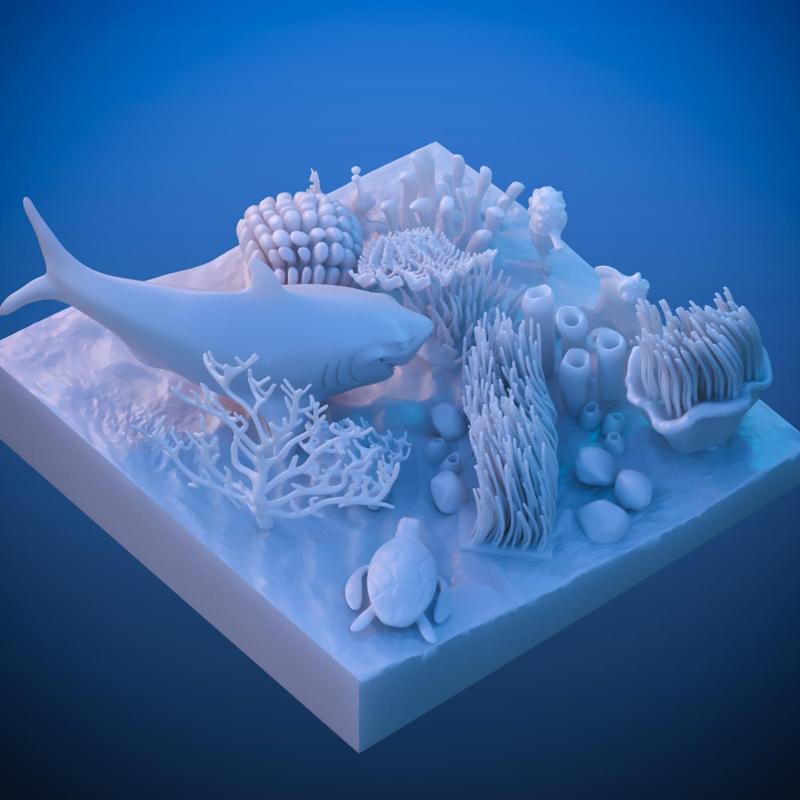 Coral reef