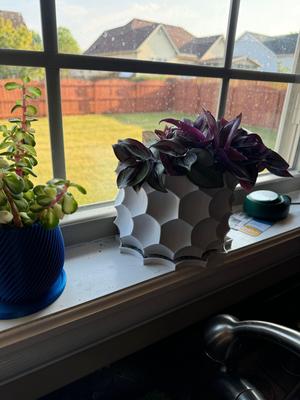 Hex pot with flat back