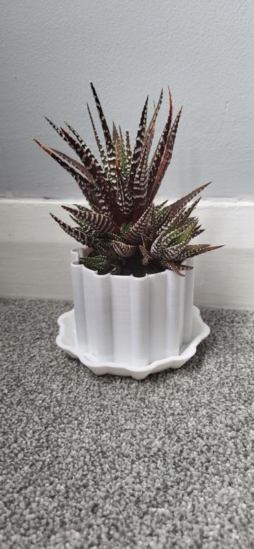Small plant pot with tray