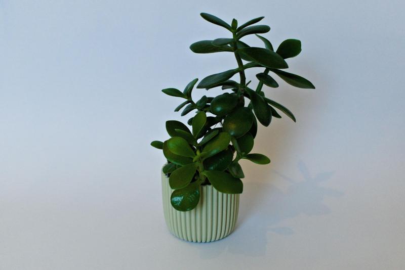 Planter Blumentopf 9cm