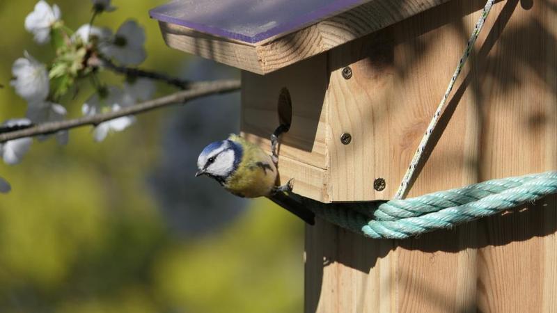 Nichoir pour oiseaux paramétrable/parametric bird house