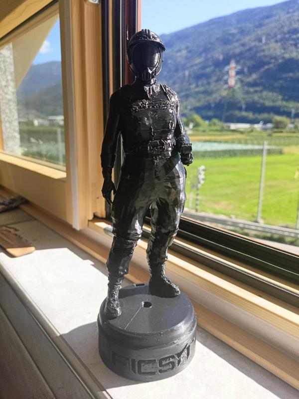 pioneer satisfactory lamp