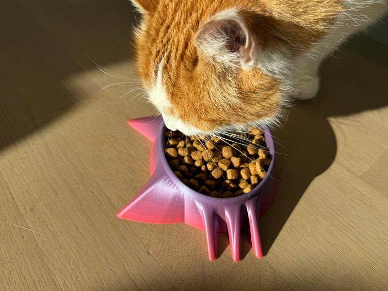 Cat Bowl – in Cat Head Design