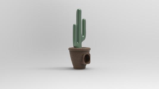 Cactus Pot