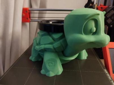 TORTUGA MATTE