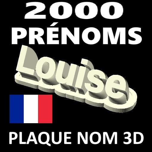 3D PLAQUE NOM PERSONNALISÉS POUR LE TOP 2000 DES PRÉNOMS