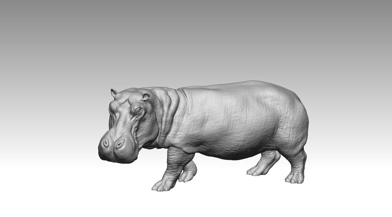Hippo 2