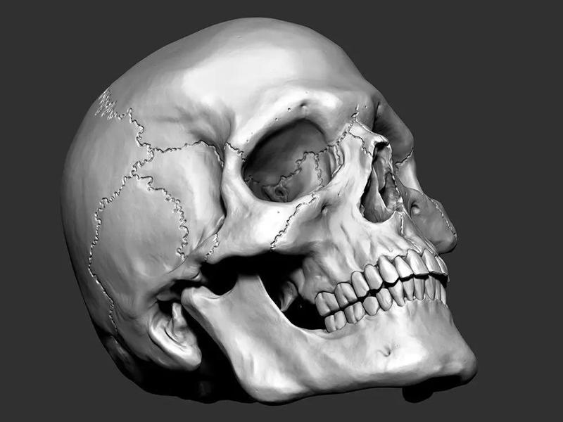 Skull -