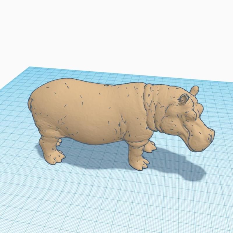 Hippopotamus