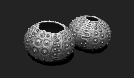 Sea Urchin 03 - STL for 3D Print - Aquarium
