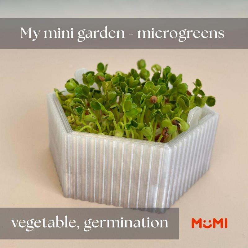 MY MINI GARDEN - MUMI - MICROGREENS, VEGETABLES