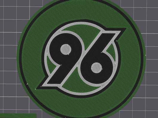 Hannover 96 Coaster