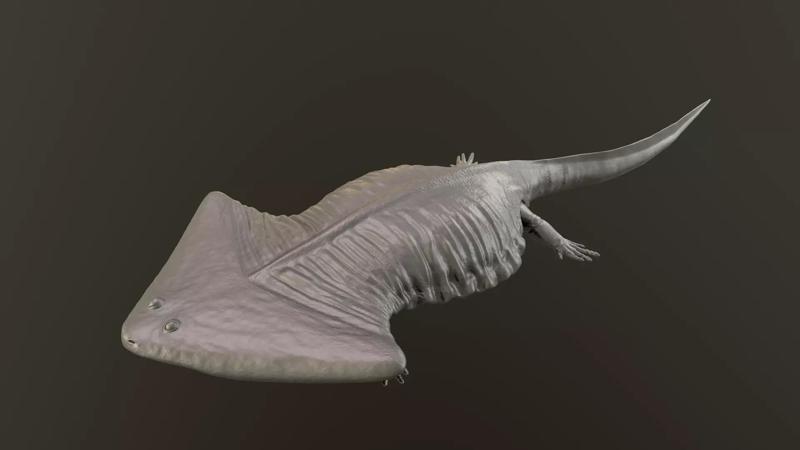 Diplocaulus magnicornis