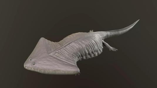 Diplocaulus magnicornis