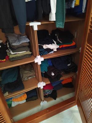 Carton Shelves
