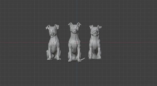 jack russell terrier,dog,dog