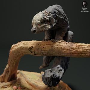 Binturong - Bear Cat Climbing