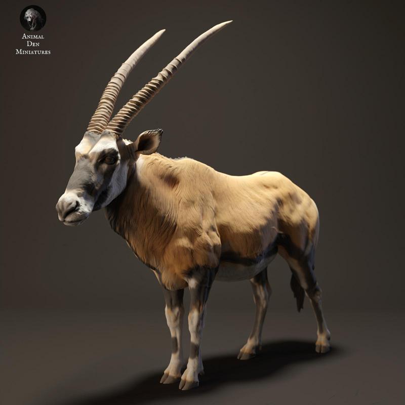 Gemsbok