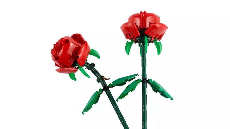 TwindBricks3D - 40460 Roses