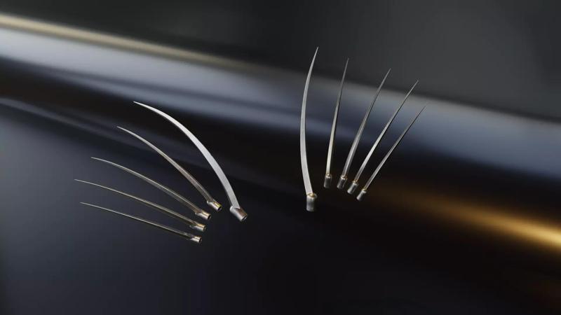 Lady Dimitrescu Claws - Resident Evil Village