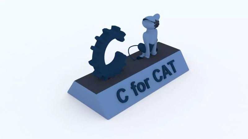 C for Cat Model