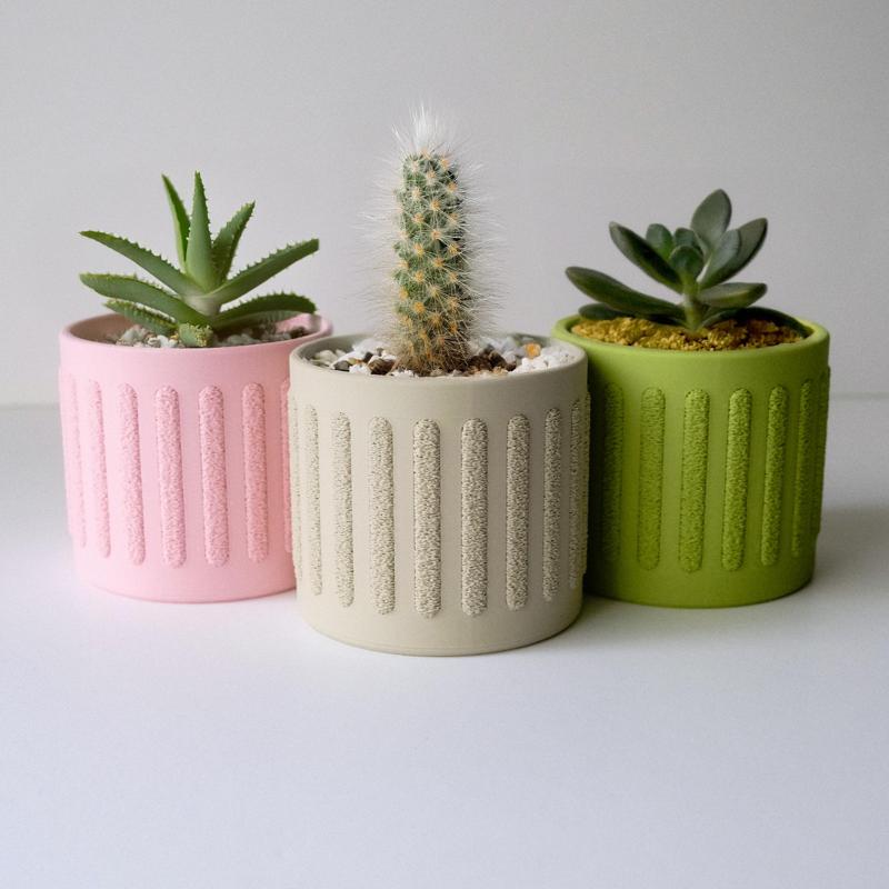 Multi-Textured Planter Pot for Succulents & Cacti