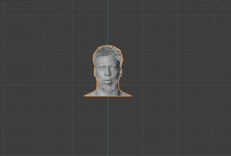 ANTHONY DAVIS BUST