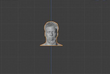 ANTHONY DAVIS BUST