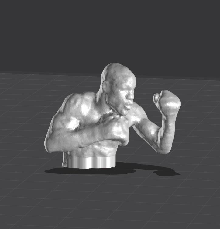 Boxer -  Floyd Mayweather