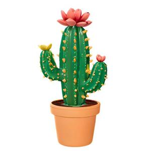 Cactus with Flower Pot