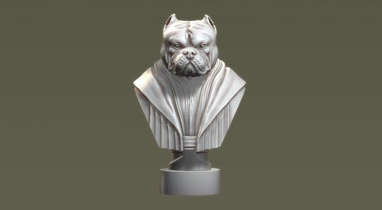 American Bully Darth Maul