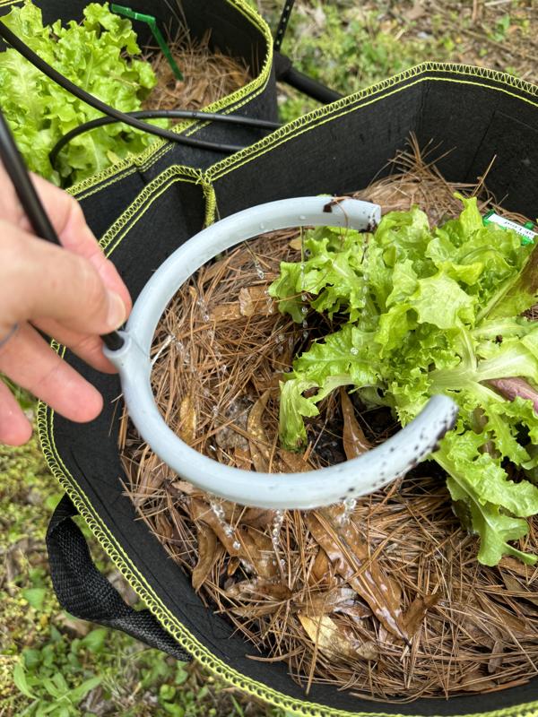irrigation Horse Shoe