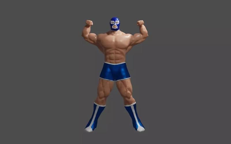 Masked Fighter - Lucha Libre