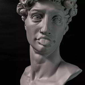 HipHop David 3d printing stl