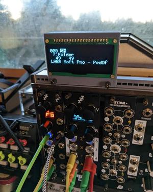 Disting EX OLED display bracket