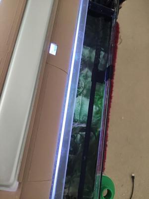 Fluval Spec V 19L horizontal spray bar