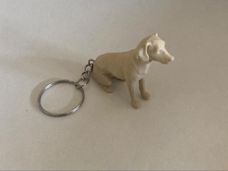 Keychain little dog
