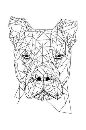 Geometric Dog