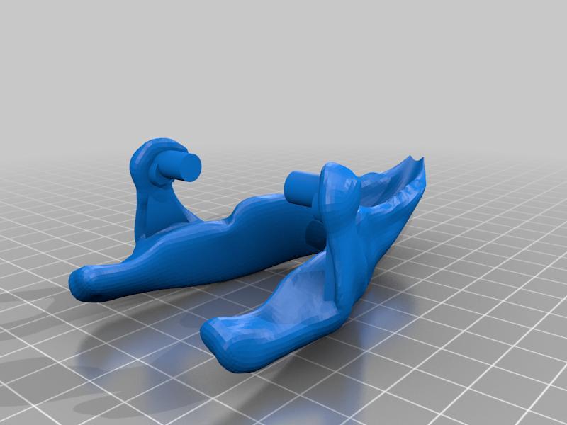 Triceratops skull remix