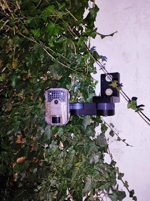 Wildcam mount   