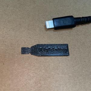 Lightning port clearner