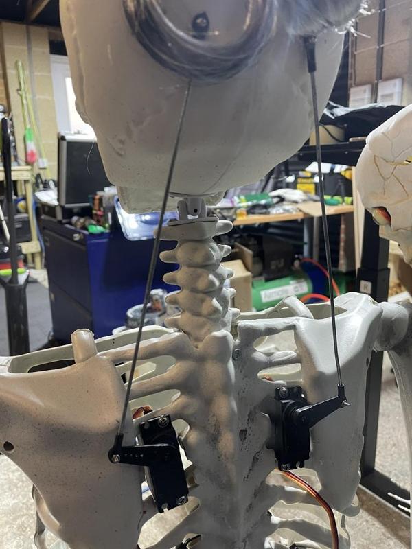 Universal Neck Joint