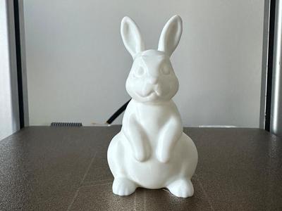 Bunny, no supports