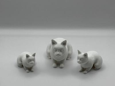 Simple Cat