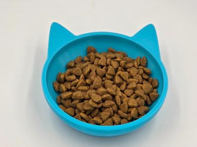 Cat food bowl