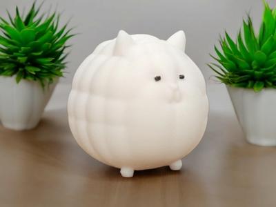 Chubby Cat