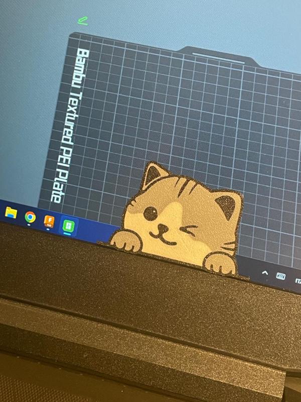 Funny cat multicolor kitty - reverse printing