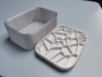 Voronoi butter dish/box