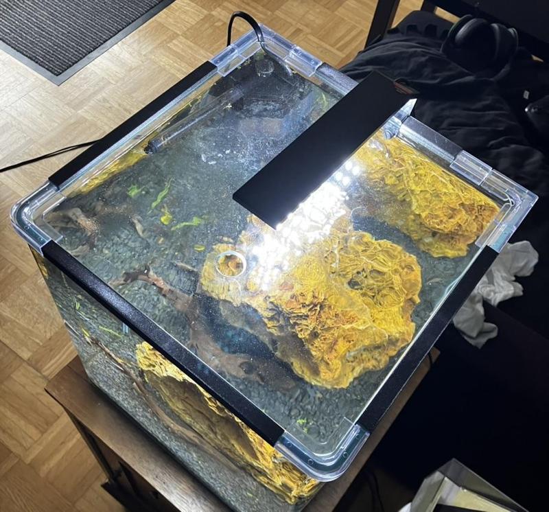 Abdeckungsleisten für 30 Liter Dennerle Nano Cube